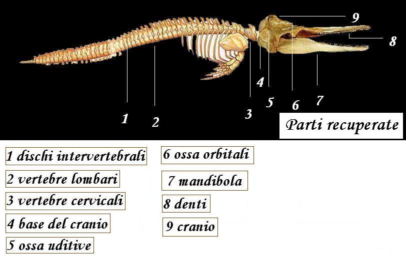 Vi racconto una storia